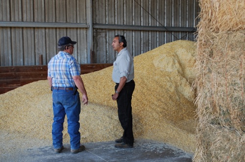 CAB Drought Helping Header 