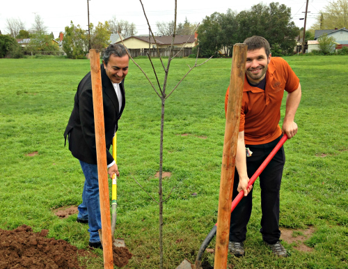 Environment And Agriculture